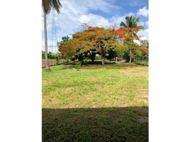  Land for sale in La Ermita, San Carlos, La Ermita