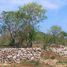 Terrain à vendre à Tixpehual, Yucatan, Tixpehual