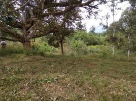  Terrain for sale in Bentong, Pahang, Sabai, Bentong