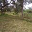  Terrain for sale in Bentong, Pahang, Sabai, Bentong