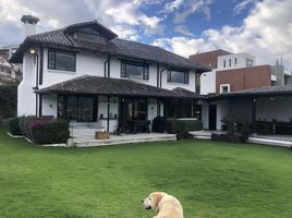 4 Habitación Casa en venta en Bicentenario Park, Quito, Quito, Quito