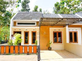 2 Bedroom Villa for sale in Tepus, Gunung Kidul, Tepus