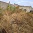  Land for rent in Huitzilac, Morelos, Huitzilac, Morelos