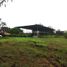  Land for rent in David, Chiriqui, David, David