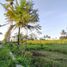  Land for sale in Ngemplak, Sleman, Ngemplak