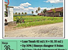  Land for sale in Banyuwangi, East Jawa, Gambiran, Banyuwangi