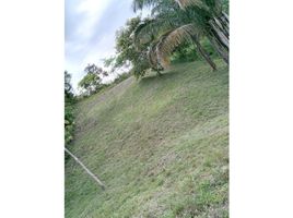  Land for sale in Nuevo Emperador, Arraijan, Nuevo Emperador