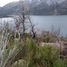  Grundstück zu verkaufen in Cushamen, Chubut, Cushamen, Chubut, Argentinien