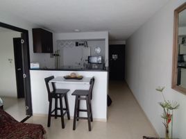 1 Bedroom Condo for rent in Dosquebradas, Risaralda, Dosquebradas