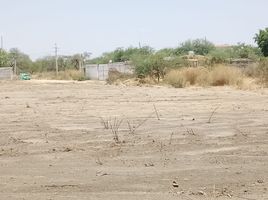  Land for sale in Silao, Guanajuato, Silao