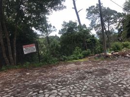  Grundstück zu verkaufen in Valle De Bravo, Mexico, Valle De Bravo, Mexico