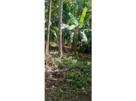  Land for sale in Cordoba, Monteria, Cordoba