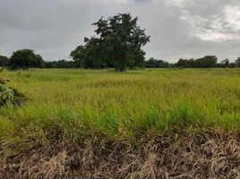  Terreno (Parcela) en venta en Casanare, Yopal, Casanare