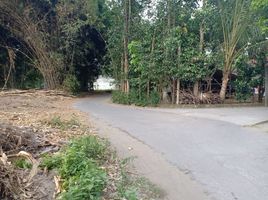  Land for sale in Prambanan, Klaten, Prambanan