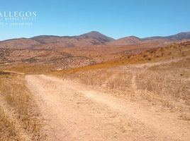  Land for sale in Tecate, Baja California, Tecate, Baja California