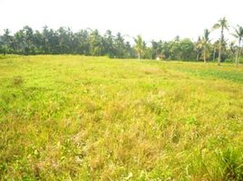  Land for sale in Sukawati, Gianyar, Sukawati