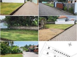  Land for sale in Tabanan, Bali, Tabanan, Tabanan