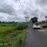  Terreno (Parcela) en venta en Sleman, Yogyakarta, Sleman, Sleman, Yogyakarta