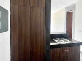 Condominium 2 chambre à louer à Merida, Yucatan, Merida