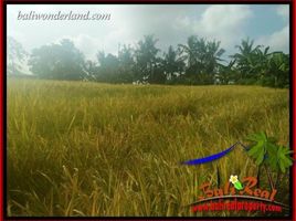  Land for sale in Tabanan, Bali, Kerambitan, Tabanan