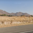 Terrain à vendre à Zapopan, Jalisco, Zapopan, Jalisco