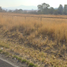 Terrain à vendre à Zapopan, Jalisco, Zapopan, Jalisco