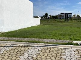  Grundstück zu verkaufen in San Andres Cholula, Puebla, San Andres Cholula