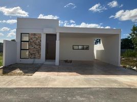 3 Schlafzimmer Villa zu verkaufen in Conkal, Yucatan, Conkal