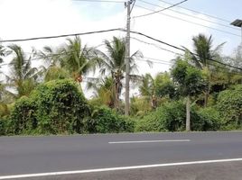  Land for sale in Selemadeg, Tabanan, Selemadeg