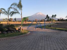  Grundstück zu verkaufen in Atzitzihuacan, Puebla, Atzitzihuacan