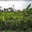  Land for sale in Yogyakarta, Ngaglik, Sleman, Yogyakarta