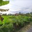  Land for sale in Yogyakarta, Ngaglik, Sleman, Yogyakarta