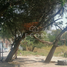  Land for sale in Tonala, Jalisco, Tonala