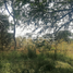  Land for sale in Tonala, Jalisco, Tonala