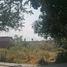  Land for sale in Tonala, Jalisco, Tonala