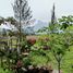 Land for sale in Tonila, Jalisco, Tonila