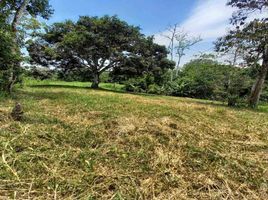  Land for sale in Caldas, Manizales, Caldas