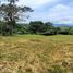  Land for sale in Caldas, Manizales, Caldas