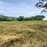  Land for sale in Caldas, Manizales, Caldas