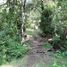  Land for sale in Araucania, Pucon, Cautin, Araucania