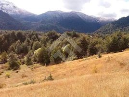  Land for sale in Araucania, Pucon, Cautin, Araucania