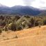  Grundstück zu verkaufen in Pucon, Araucania, Pucon, Cautin, Araucania