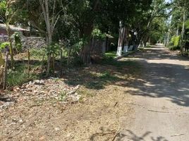  토지을(를) Tepoztlan, 모렐 로스에서 판매합니다., Tepoztlan