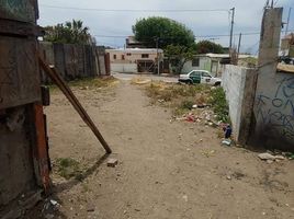  Grundstück zu verkaufen in Tijuana, Baja California, Tijuana
