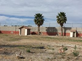  Grundstück zu vermieten in Torreon, Coahuila, Torreon