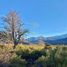  Terreno (Parcela) en venta en Chile, Lonquimay, Malleco, Araucanía, Chile