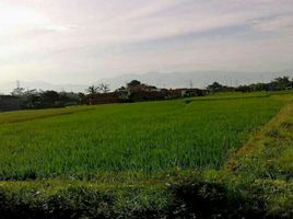  Grundstück zu verkaufen in Sumedang, West Jawa, Cikeruh