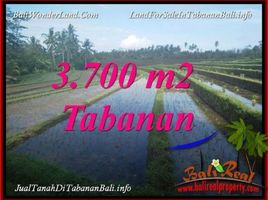  Tanah for sale in Selemadeg, Tabanan, Selemadeg