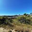  Land for sale in Chile, Navidad, Cardenal Caro, Libertador General Bernardo Ohiggins, Chile