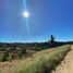  Land for sale in Chile, Navidad, Cardenal Caro, Libertador General Bernardo Ohiggins, Chile